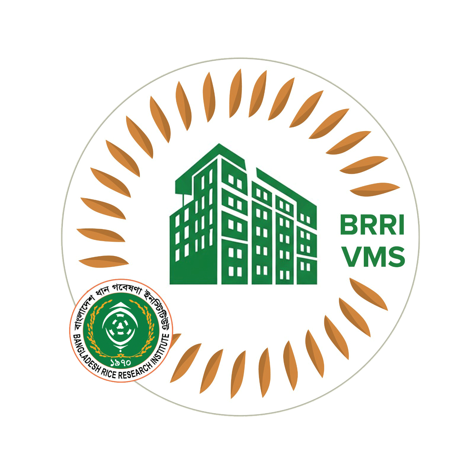 BRRI Logo